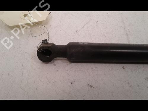 Hood lift support RENAULT KANGOO / GRAND KANGOO II (KW0/1_) 1.5 dCi 90 (KW05, KW08, KW0G, KW11) | BP15200317C139 