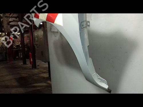 Left front fenders RENAULT KANGOO Express (FW0/1_) 1.5 dCi 70 (FW0A, KW0V) | BP29224603C41