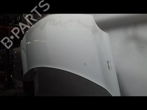 Hood RENAULT KANGOO Express (FW0/1_) 1.5 dCi 90 (FW0G, FW05, FW08, FW11) | BP22441406C1 