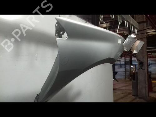 Right front fenders RENAULT LAGUNA III (BT0/1) 1.5 dCi (BT00, BT0A, BT0T, BT1J) | BP29224520C42 