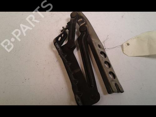 Hinge/Door check strap SKODA ROOMSTER (5J7) 1.9 TDI | BP29224779C146 