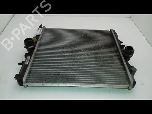 Køler PEUGEOT 206+ (2L_, 2M_) 1.4 i (2LKFWA, 2MKFWA) (75 hp) 19441005