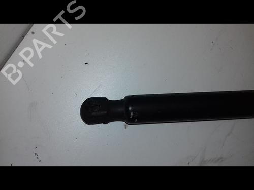Tailgate lift support FIAT TIPO Estate (356_, 357_) 1.6 D (356WXG1B) | BP29225938C138
