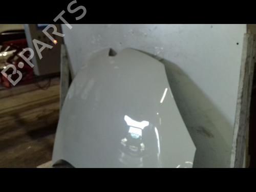 Hood RENAULT MEGANE III Hatchback (BZ0/1_, B3_) 1.5 dCi (BZ1G, BZ1W, BZ0R) | BP29216588C1 