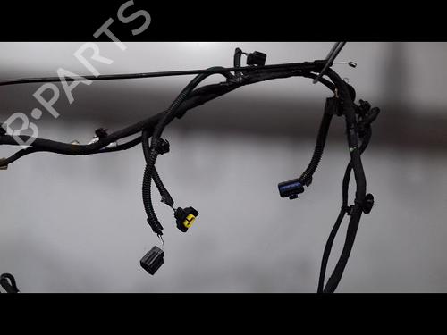 Wiring harness RENAULT TALISMAN (LP_) 1.6 dCi 160 | BP14886829E16 