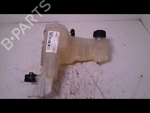 expansion-tank-renault-laguna-iii-bt01-20-dci-bt0m-bt0n-bt0s-bt19-bt1f-217100014r-2007-2008-2009-2010-2011-2012-2013-2014-2015-9756090 main image