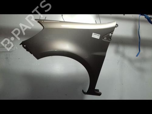 Left front fenders RENAULT CLIO III (BR0/1, CR0/1) 1.5 dCi (BR17, CR17) | BP19319709C41 