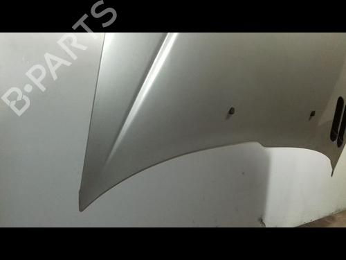 Hood PEUGEOT 206 Hatchback (2A/C) 1.4 i | BP29224759C1 
