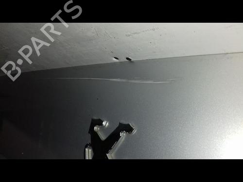 Tailgate PEUGEOT 607 (9D, 9U) 2.7 HDi 24V | BP29225981C6 