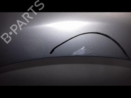 Left front fenders RENAULT CLIO III (BR0/1, CR0/1) 1.5 dCi (BR17, CR17) | BP16155881C41 