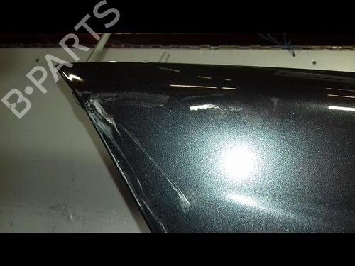 Left front fenders RENAULT MEGANE II Coupé-Cabriolet (EM0/1_) 1.5 dCi (EM1E) | BP18663932C41 