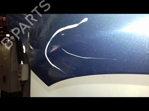 Used Left front fenders RENAULT CLIO III (BR0/1, CR0/1) 1.5 dCi (C/BR0G, C/BR1G) (68 hp) 14954688