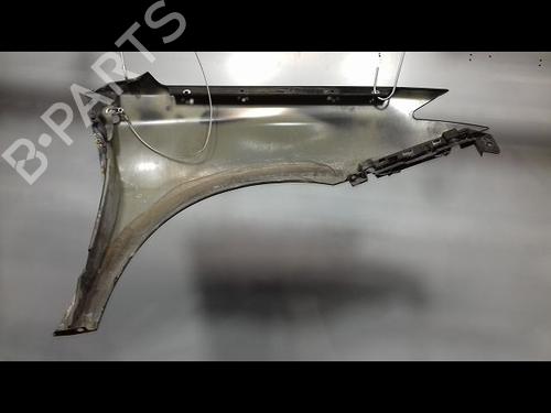 Kotflügel links vorne für RENAULT LAGUNA III (BT0/1) 2.0 dCi (BT01, BT08, BT09, BT0E, BT0K, BT12, BT1C, BT1D,... (150 hp) 12235005