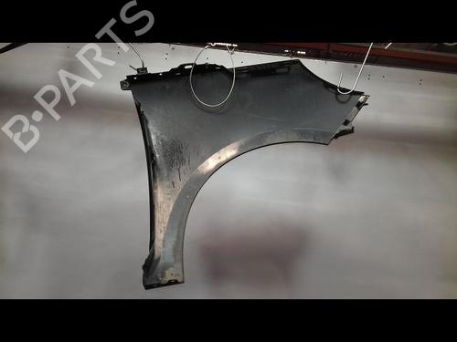 Left front fenders RENAULT SCÉNIC III (JZ0/1_) 1.6 dCi (JZ00, JZ12) | BP29136604C41 