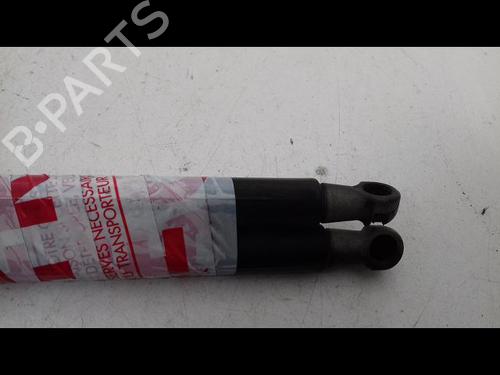 Tailgate lift support SKODA FABIA II (542) 1.4 TDI | BP15200483C138 