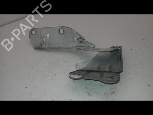 Hinge/Door check strap RENAULT TWINGO II (CN0_) 1.5 dCi 75 | BP18543512C146