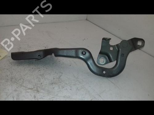 Hinge/Door check strap RENAULT SCÉNIC IV (J9_) 1.6 dCi 130 | BP21226894C146 