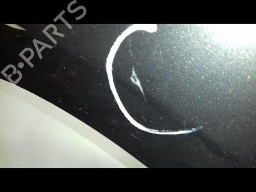 Left front fenders RENAULT MEGANE III Hatchback (BZ0/1_, B3_) 1.5 dCi | BP12564354C41 