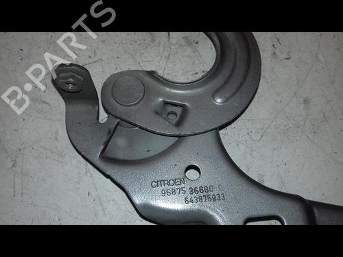 Used Hinge/Door check strap CITROËN C4 II (NC_) 1.6 BlueHDi 120 (120 hp) 29468759