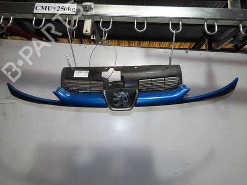 Grille PEUGEOT 206 CC (2D) 2.0 S16 | BP18205212C40 