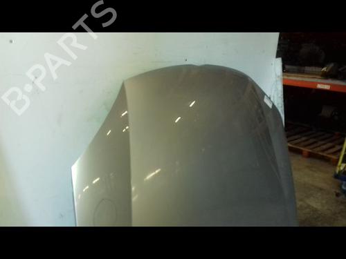 Hood VW GOLF V (1K1) 1.9 TDI | BP29224755C1