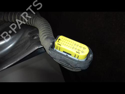 Right rear door RENAULT MEGANE III Hatchback (BZ0/1_, B3_) 1.5 dCi | BP15958916C5 