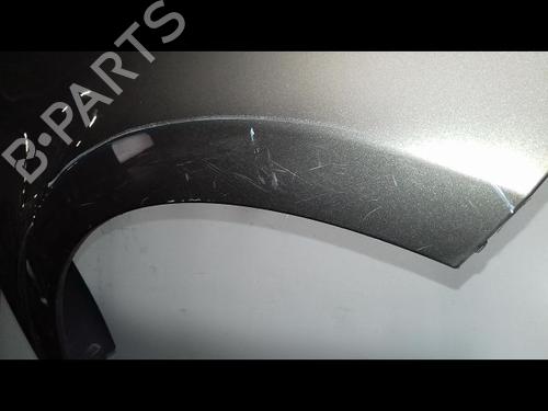Right front fenders RENAULT CLIO III (BR0/1, CR0/1) 1.5 dCi | BP15378357C42 