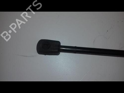 Tailgate lift support AUDI A3 Sportback (8YA, 8YF) 35 TDI | BP29225966C138