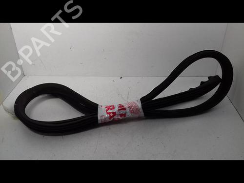 Used Rubber door seal PEUGEOT 207 (WA_, WC_) 1.6 HDi (90 hp) 14887871