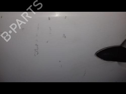 Used Left front door RENAULT KANGOO Express (FW0/1_) 1.5 dCi 90 (FW0G, FW05, FW08, FW11) (90 hp) 29225068