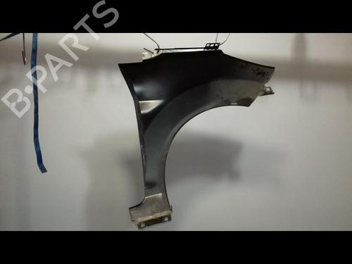 Guarda-lamas esquerdo Guarda-lamas esquerdo FORD FIESTA VI (CB1, CCN) 1.4 TDCi (70 hp) 39893174 39893174