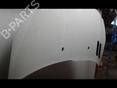 Used Hood PEUGEOT 206+ (2L_, 2M_) 1.4 HDi eco 70 (68 hp) 8972867