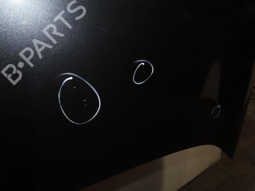 Used Hood RENAULT MEGANE III Hatchback (BZ0/1_, B3_) 1.5 dCi (BZ09, BZ0D, BZ1W, BZ29, BZ14) (110 hp) 17469683