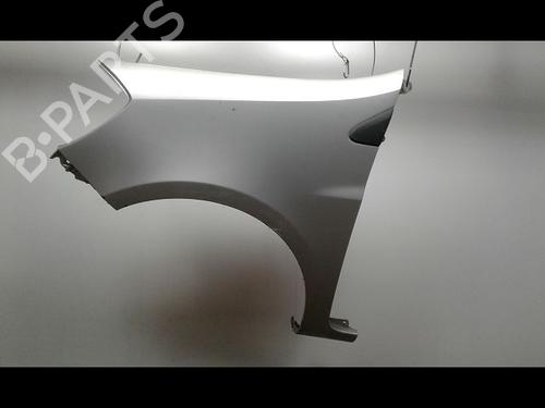 Left front fenders RENAULT CLIO III (BR0/1, CR0/1) 1.5 dCi (C/BR0G, C/BR1G) | BP15200293C41 