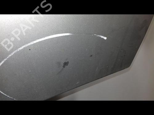 Used Right front door RENAULT MEGANE II (BM0/1_, CM0/1_) 1.5 dCi (BM1E, CM1E) (106 hp) 11976625