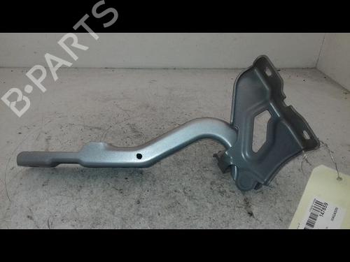 hingedoor-check-strap-dacia-sandero-iii-2021-33135952 main image