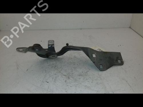 Used Hinge/Door check strap RENAULT SCÉNIC IV (J9_) 1.6 dCi 130 (130 hp) 21226894