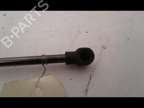 Tailgate lift support RENAULT TWINGO II (CN0_) 1.2 (CN0D) | BP16931220C138 
