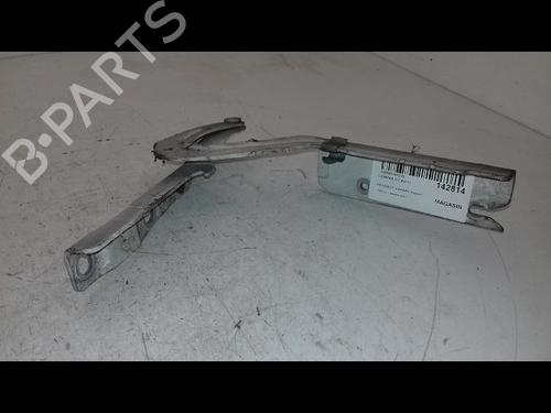 Used Hinge/Door check strap PEUGEOT EXPERT Van (VF3A_, VF3U_, VF3X_) 1.6 HDi 90 16V (90 hp) 29224782