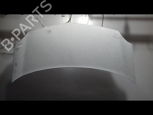 Used Hood RENAULT KANGOO Express (FW0/1_) 1.5 dCi 75 (FW07, FW10, FW04) (75 hp) 29224705