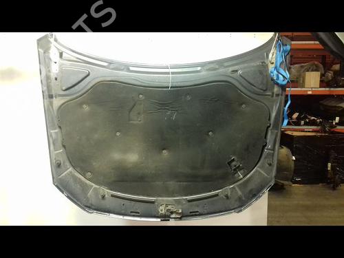Used Hood VW PASSAT B6 (3C2) 1.9 TDI (105 hp) 11999078