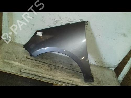 Left front fenders RENAULT SCÉNIC III (JZ0/1_) 1.5 dCi | BP30047878C41