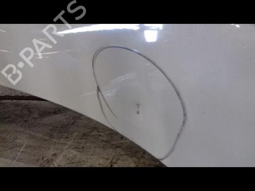 Hood RENAULT MEGANE III Hatchback (BZ0/1_, B3_) 1.5 dCi (BZ1G, BZ1W, BZ0R) | BP29216588C1 