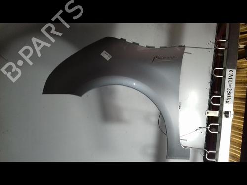 Left front fenders CITROËN C4 Picasso I MPV (UD_) 1.6 HDi 110 | BP17338846C41 