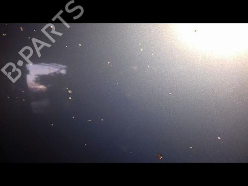 Used Hood OPEL MERIVA A MPV (X03) 1.7 CDTI (E75) (100 hp) 29216574