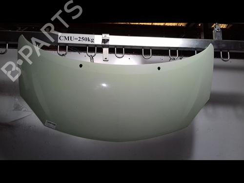 Motorhjelm RENAULT TWINGO II (CN0_) 1.2 (CN0D) (58 hp) 29224749