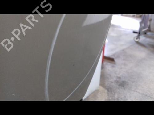 Right rear door RENAULT CLIO III (BR0/1, CR0/1) 1.5 dCi (C/BR0G, C/BR1G) | BP19069409C5 