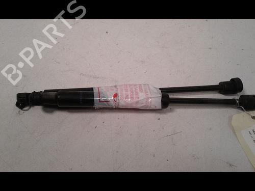 Used Hood lift support RENAULT SCÉNIC III (JZ0/1_) 1.5 dCi (106 hp) 14887672