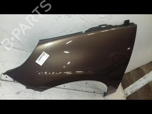 Left front fenders RENAULT SCÉNIC III (JZ0/1_) 1.9 dCi (JZ0J, JZ1J, JZ1K, JZ1S) | BP29224579C41 