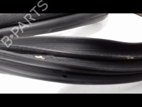 Rubber door seal RENAULT CLIO III (BR0/1, CR0/1) 1.5 dCi (BR17, CR17) | BP23195329C142 
